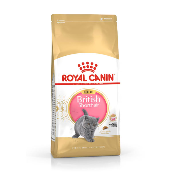 Royal Canin British Shorthair Kitten za mačiće 2kg RV0661