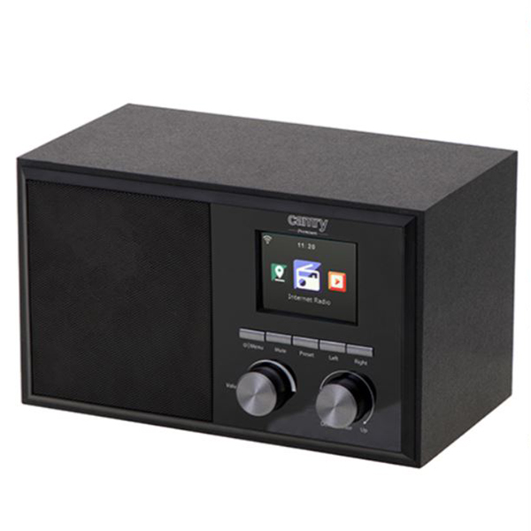 Internet radio Camry CR1180