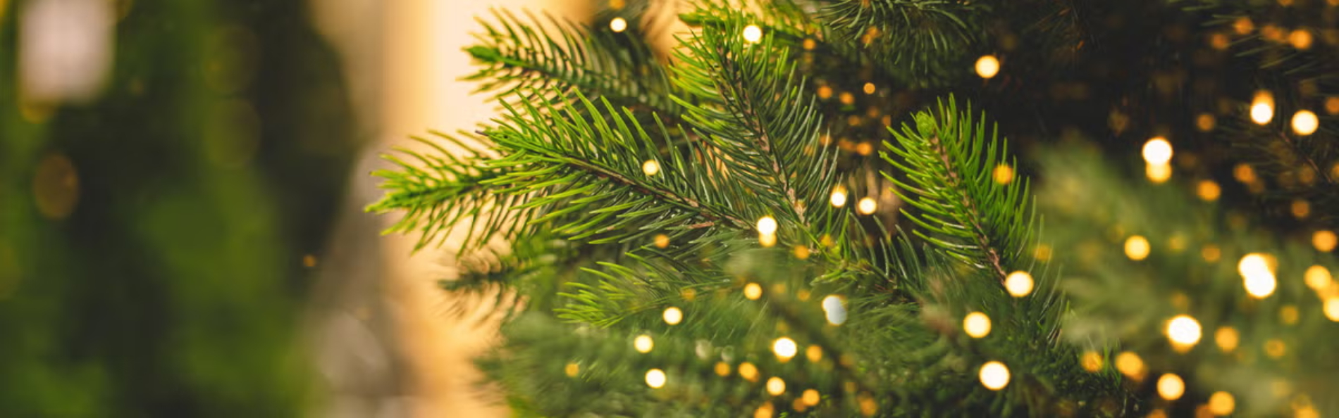 Kako smo uredili kategorije jelke i sijalice na sajtu Volim svoj dom