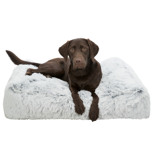 Ležaljka jastuk za psa 100x70cm Harvey Trixie 38019