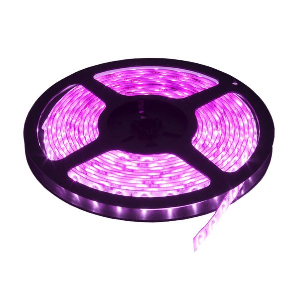 Led traka roze 60 led LTR2835/60P-12