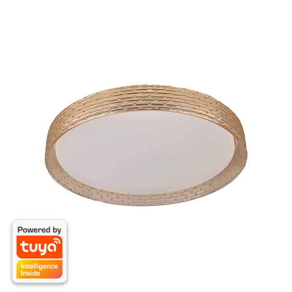 Led plafonjera 36W CCT dimabilna EL-2230 Smart Elmark 95EL223036CCT