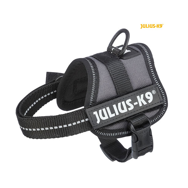 Am za pse 2XS 33-45cm/18mm antracit siva Julius K9 Baby Trixie 150016